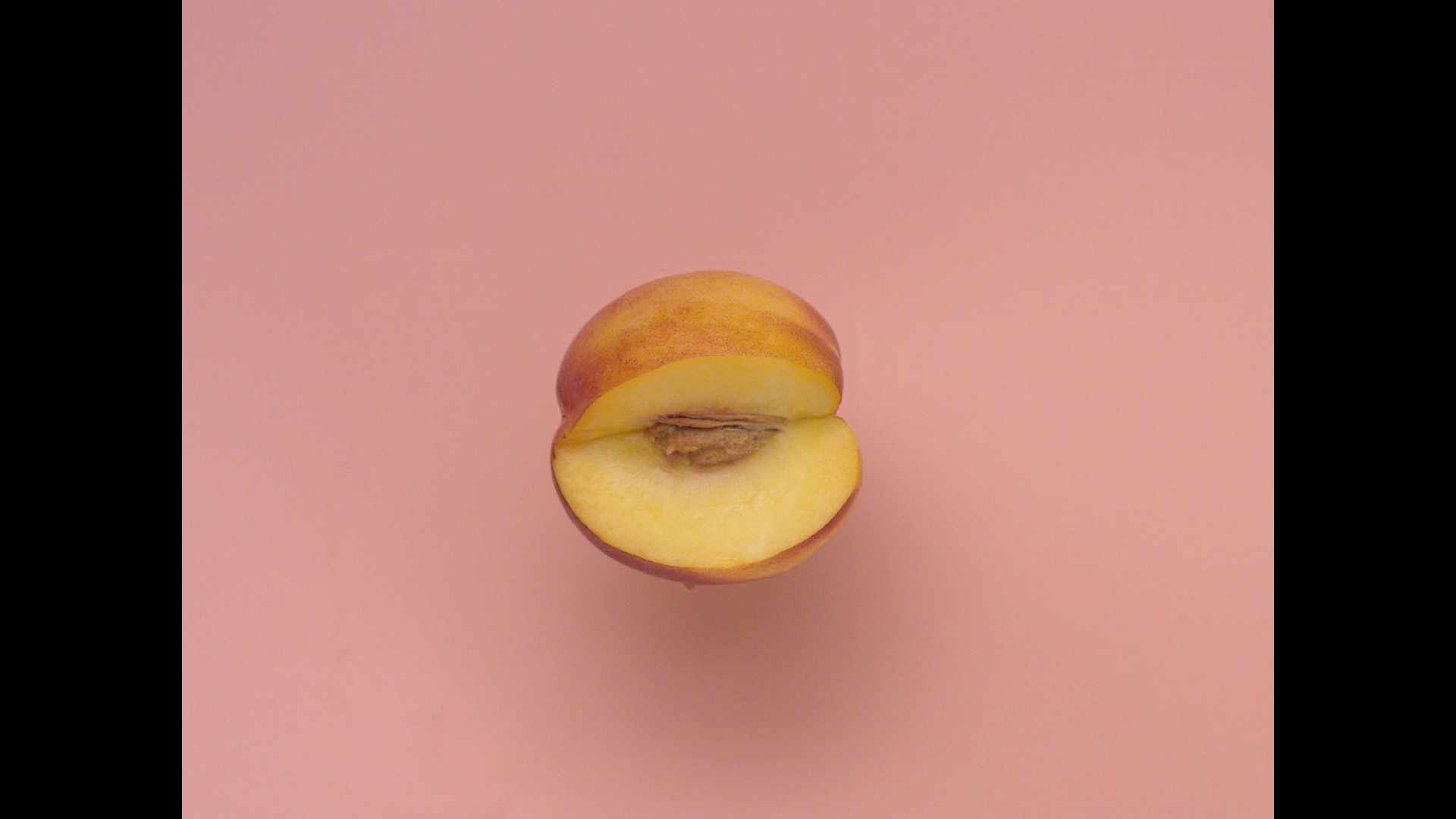 eszter galambos, Peach in front of a pink background